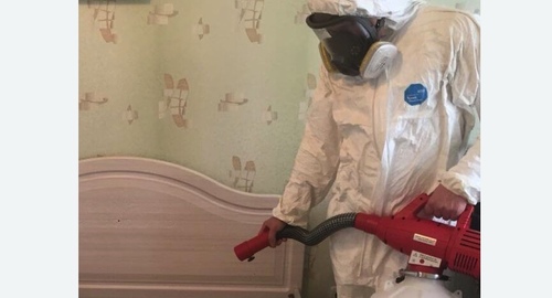 Уничтожение клещей в квартире. Лодейное Поле