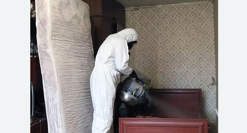Дезинфекция от клопов туманом